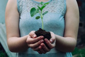 Lo que funcionó esta semana: revitalización, circularidad y más noticias positivas