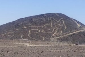 Arqueólogos descubren un gato gigante tallado en el cerro Nazca
