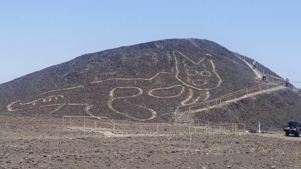 Arqueólogos descubren un gato gigante tallado en el cerro Nazca