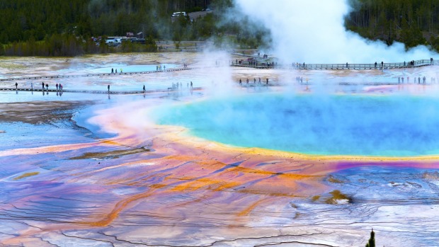 Tres visitantes fueron expulsados ​​de Yellowstone después de cocinar pollo en las aguas termales