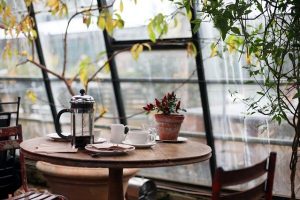 5 ideas de invernadero para el hogar para 2020