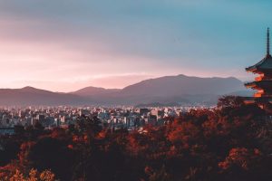 Lo que salió bien: Japón neto cero, avivamiento del lince y más noticias positivas