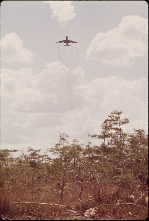 Un avión despega de Everglades Jetport en julio de 1972.