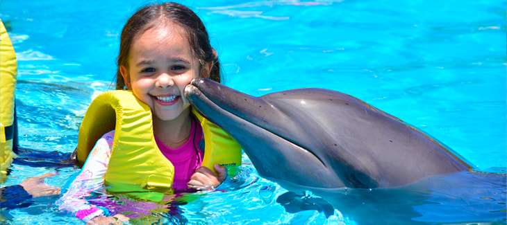 nado con delfines